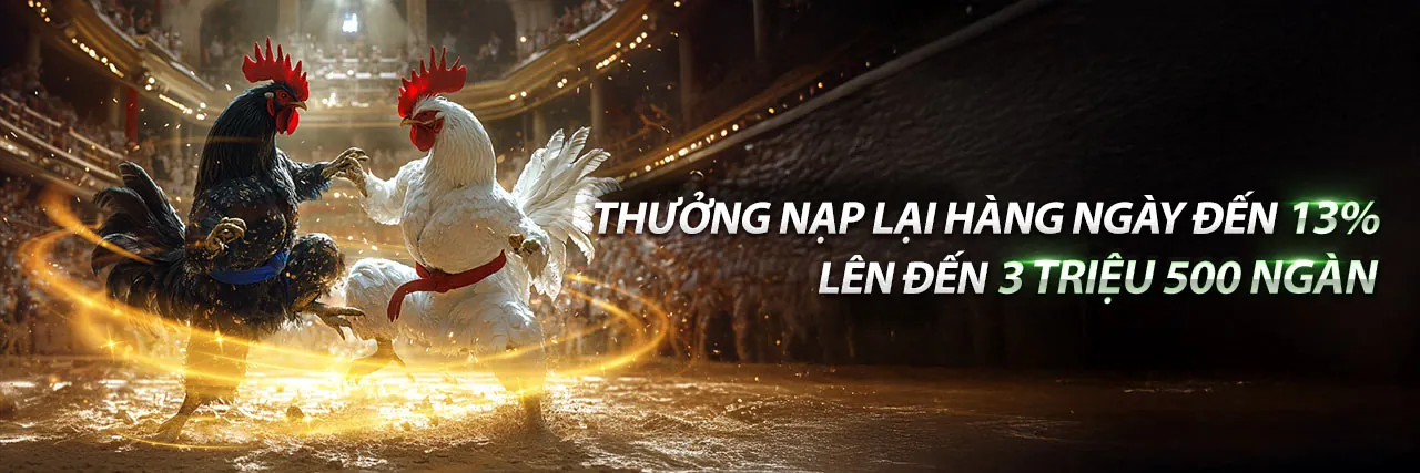Blog chính thức mcw77 bet với tin tức và hướng dẫn cá cược trực tuyến